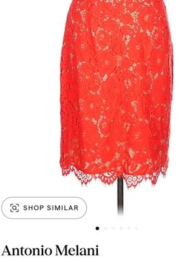 ANTONIO MELANI Coral Lace Pencil Skirt
